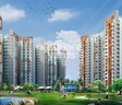 Amrapali Spring Meadows