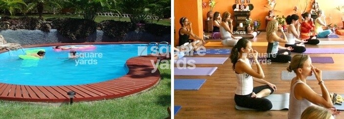 Anthem French Apartments