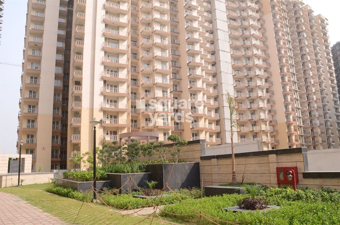 Anthem French Apartments Tower View