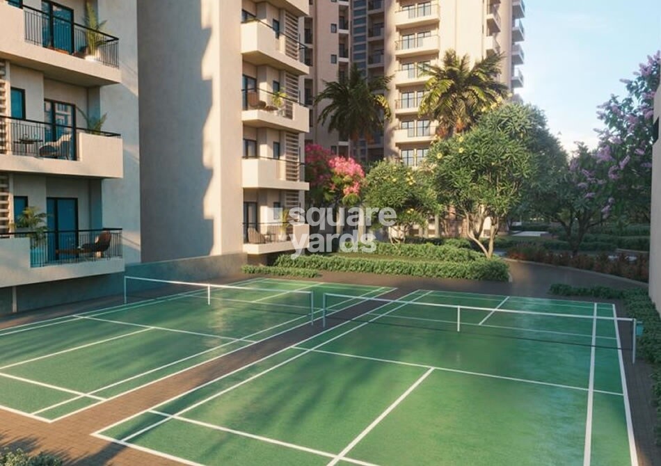 Apex Alphabet Sports facilities Image 1