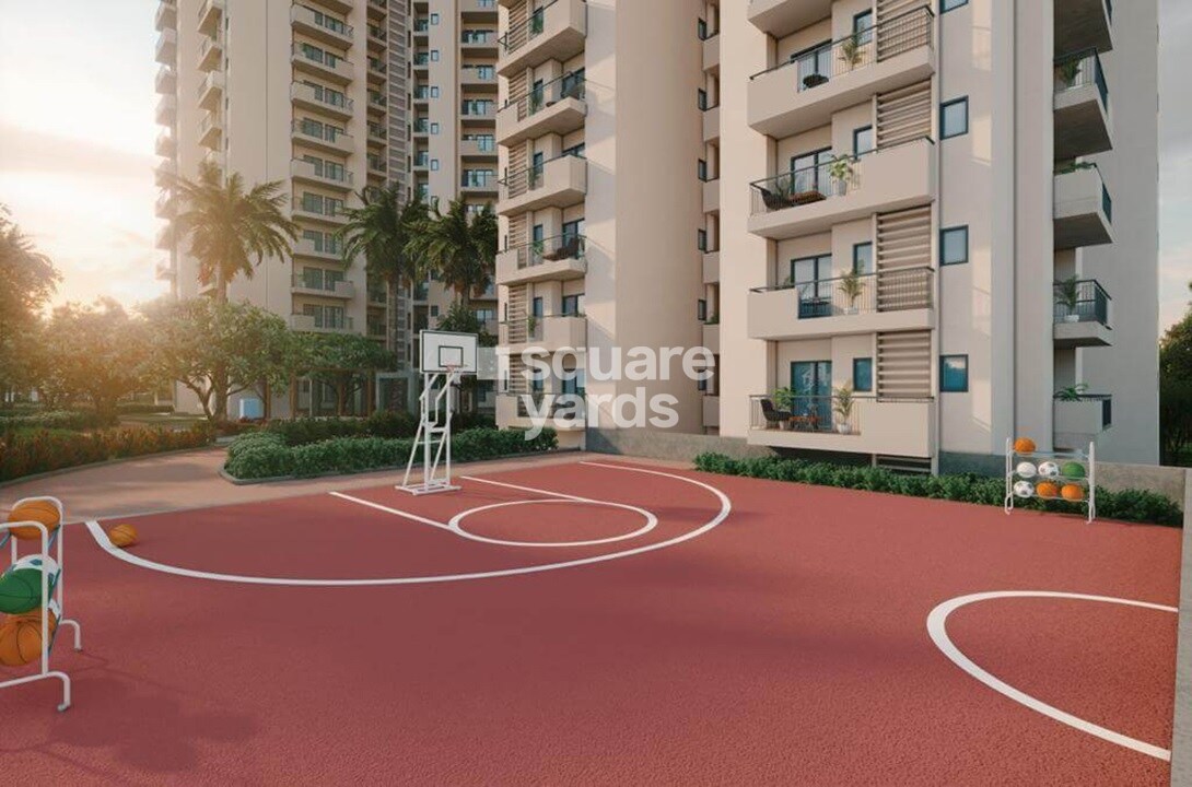 Apex Alphabet Sports facilities Image 2