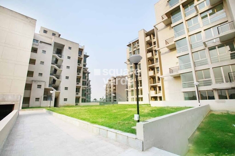 Assotech Springfields