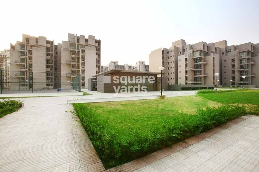 Assotech Springfields