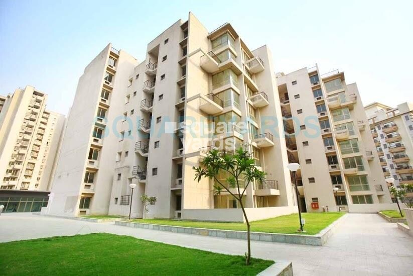 Assotech Springfields