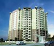 AVJ Homes