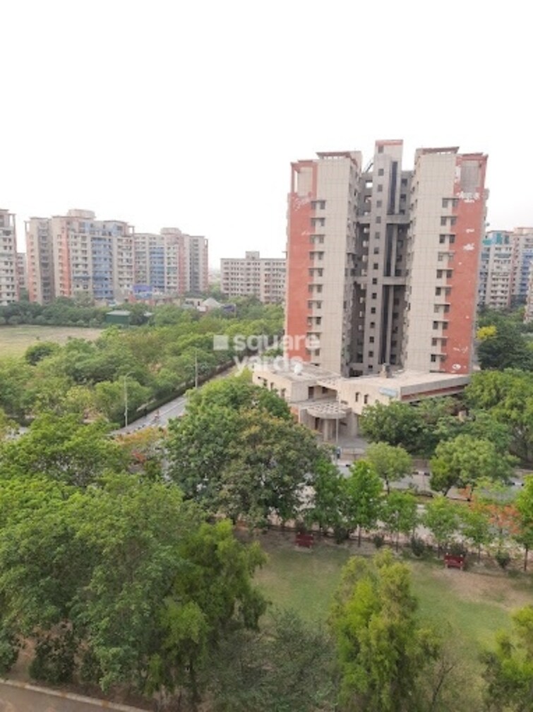 AWHO Township Tower View