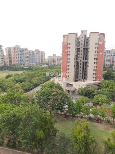 AWHO Township Tower View