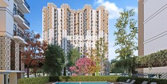 Clover Spring Homes