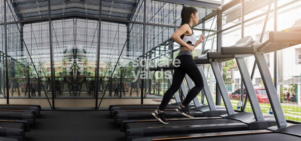 Dev Sai Sports Homes