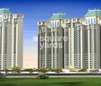 DPL Flora Heritage