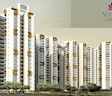 Mangalya Novena Green