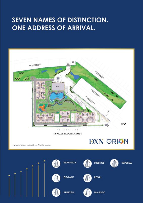 DXN Orion
