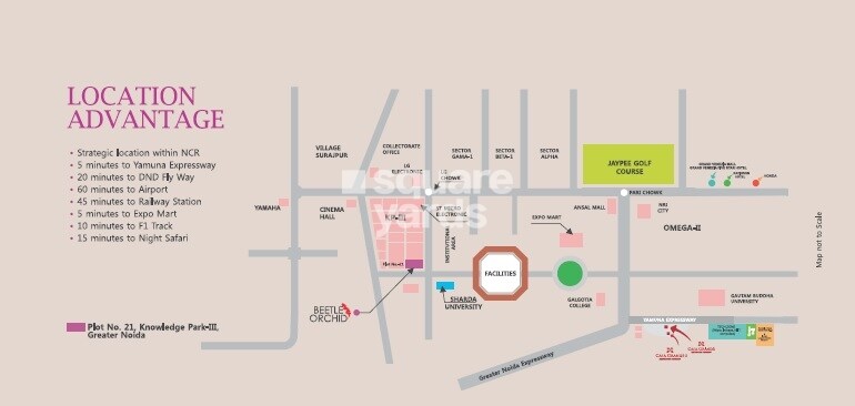 Earthcon Beetle Orchid Location Image