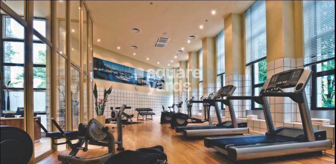 Earthcon Casa Royale Gymnasium Image