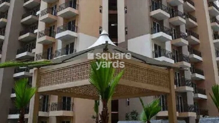 Exotica Dreamville Amenities-Features 2