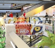 Gaur Yamuna City Galleria Amenities-Features