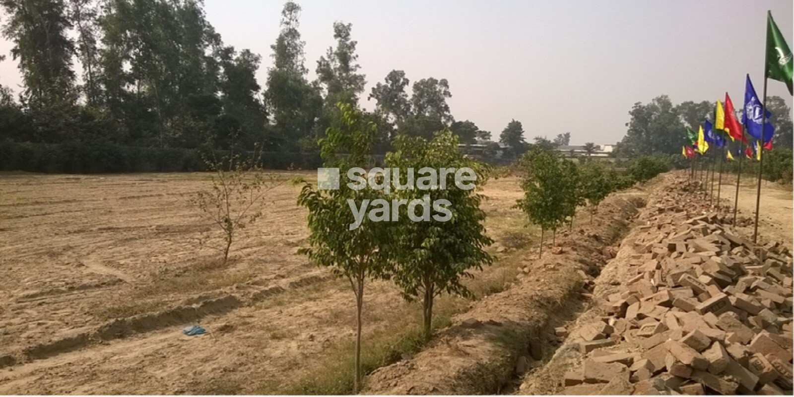 Golden Wave Visavi Residency
