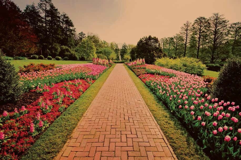 Imperia Mirage Home Amenities-Features