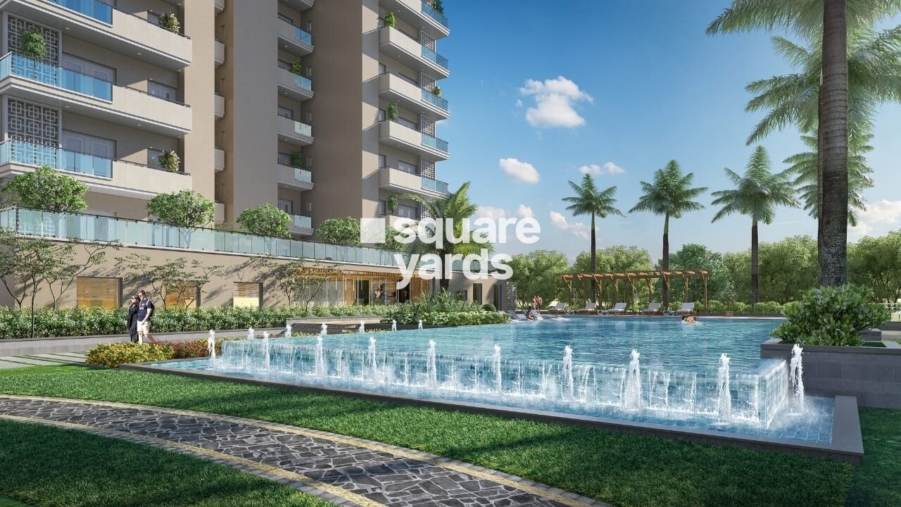 Irish Pearls Amenities-Features 2