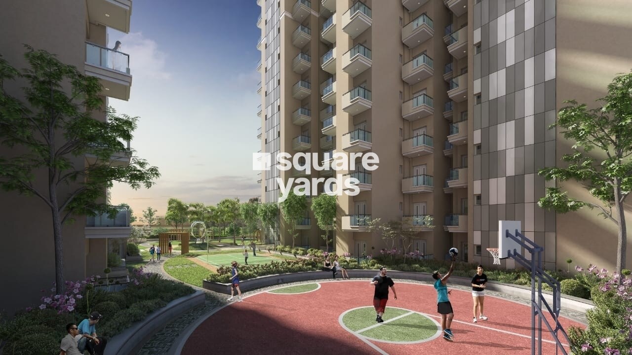 Irish Pearls Amenities-Features 5