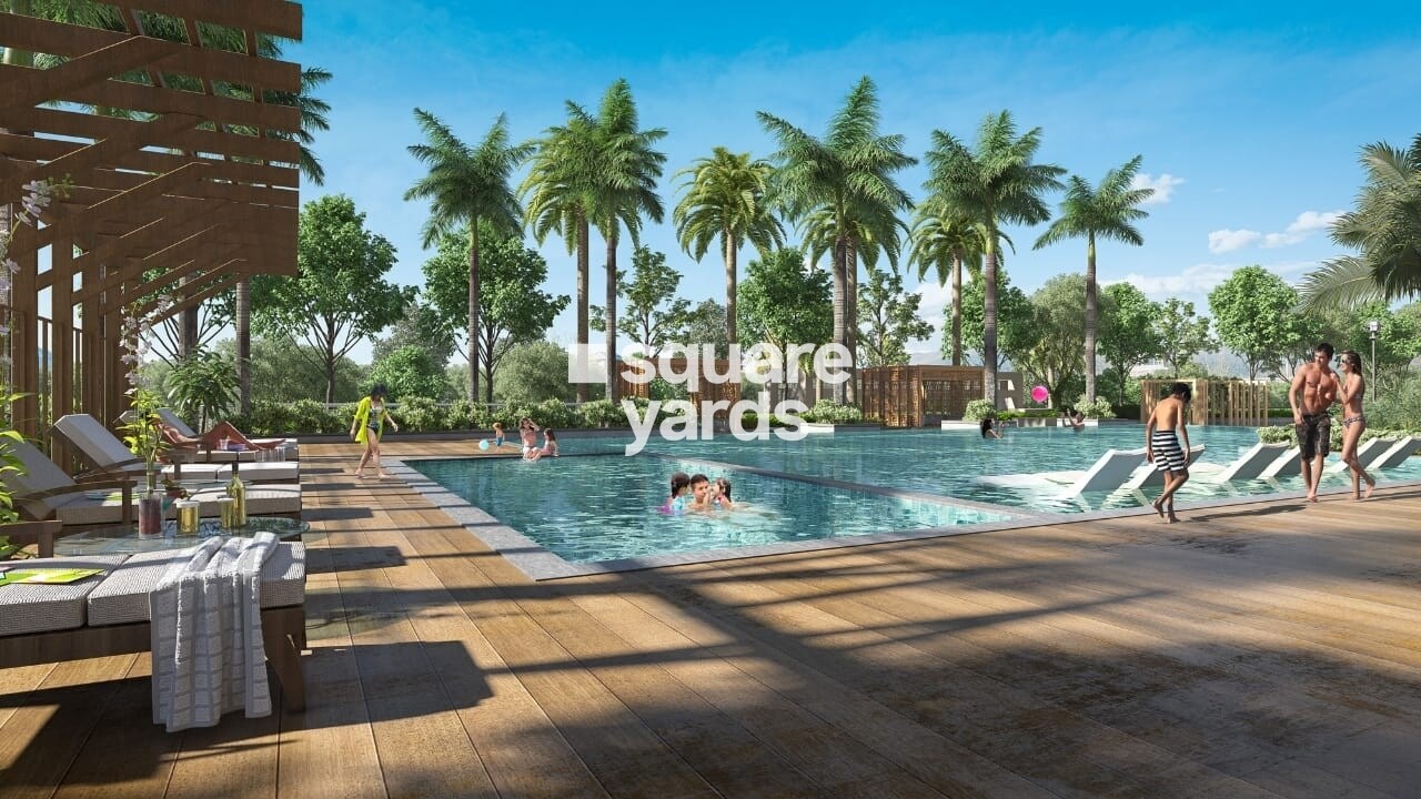 Irish Pearls Amenities-Features 6