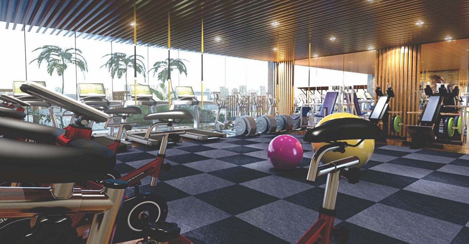 Irish Pearls Gymnasium Image