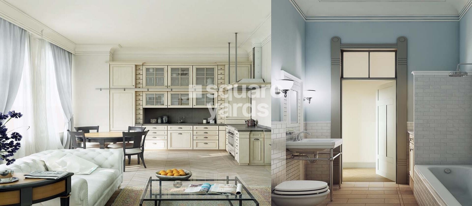 Lucky The Palm Valley