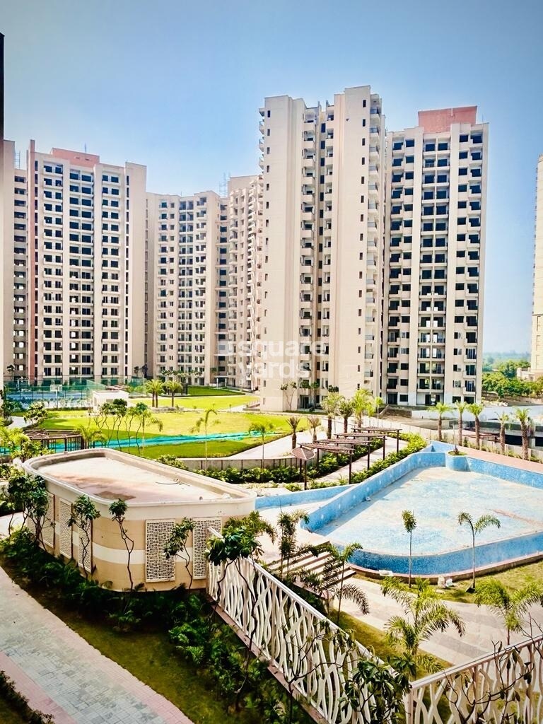 Oasis GrandStand Amenities-Features 6