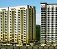Oasis Venetia Heights
