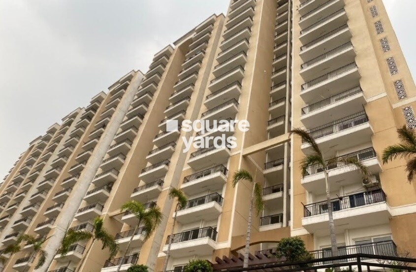 Oasis Venetia Heights