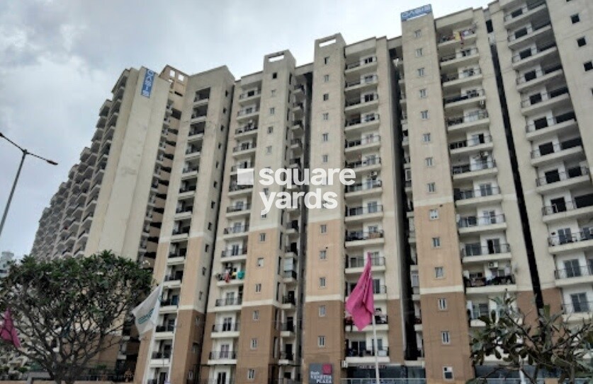 Oasis Venetia Heights Tower View 7