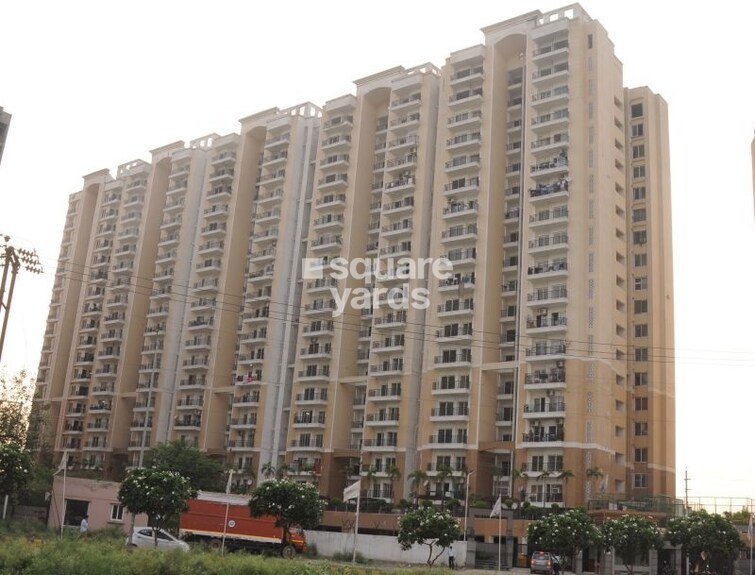 Oasis Venetia Heights Tower View 9