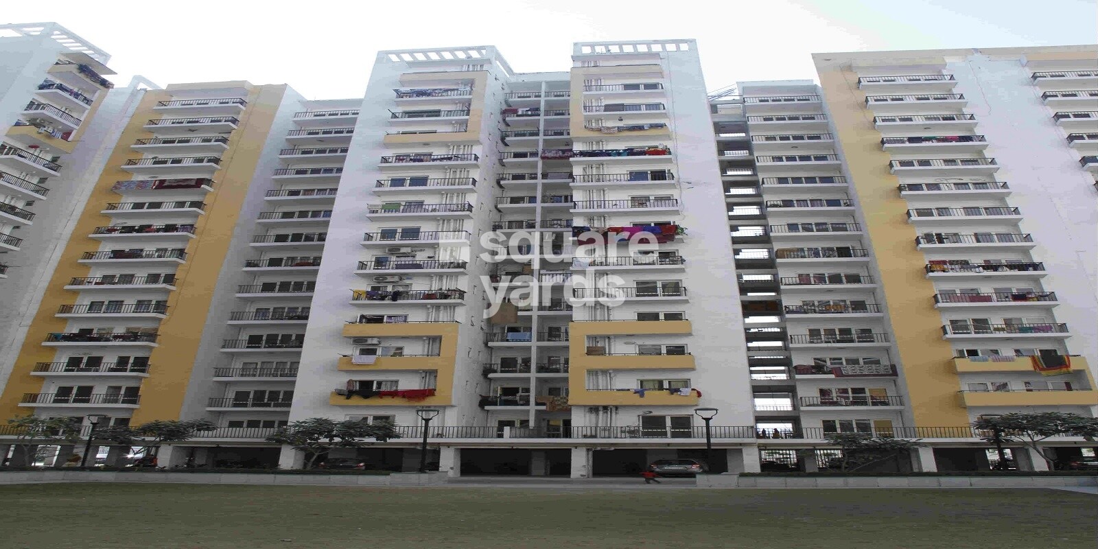 Panchsheel Greens Tower View 1