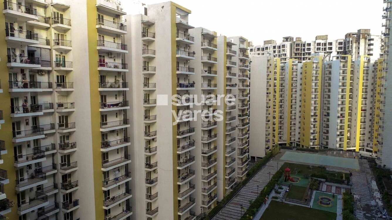 Panchsheel Hynish Tower View