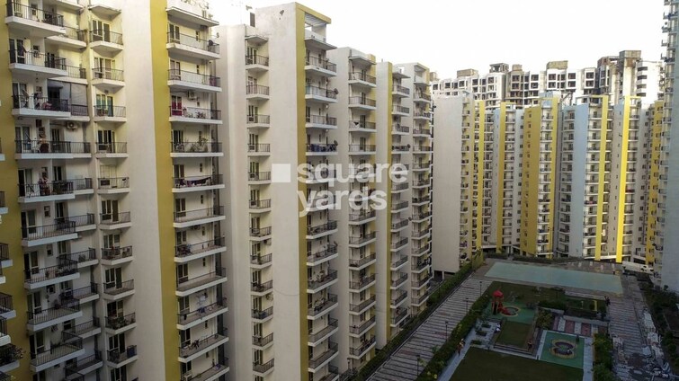 Panchsheel Hynish Tower View 2