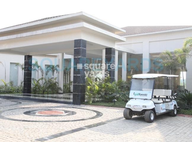 Paramount Golfforeste