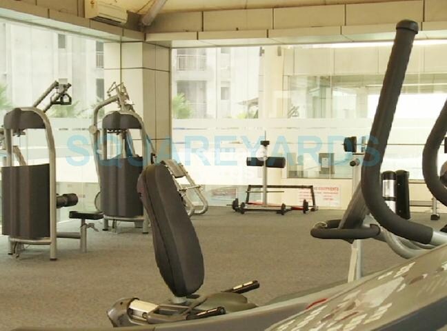 Paramount Golfforeste