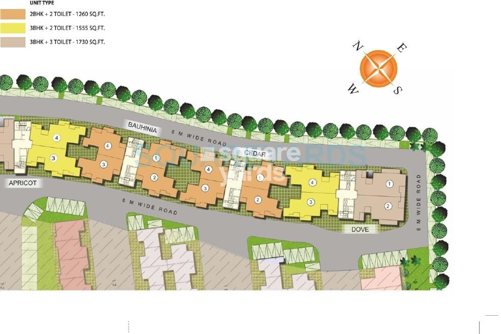 paramount-golfforeste_a collage of images of a train on a train track