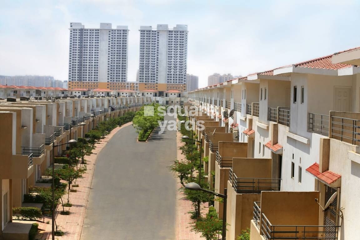 Paramount Golfforeste