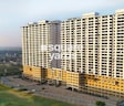 Paramount Oak