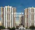 Primrose Ryne Phase 2