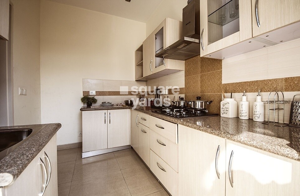 RG Luxury Homes Apartment Interiors 3