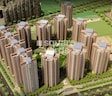 RG Luxury Homes