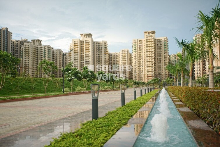 Sam Palm Olympia Tower View 1