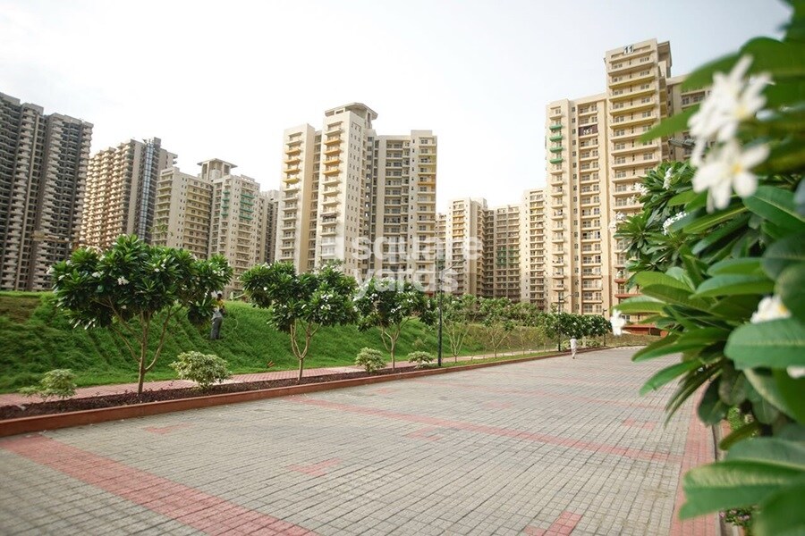 Sam Palm Olympia Tower View 2