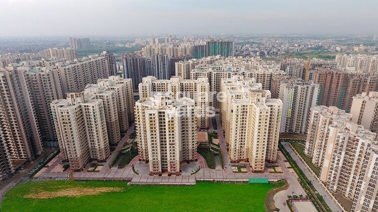 Sam Palm Olympia Tower View 3