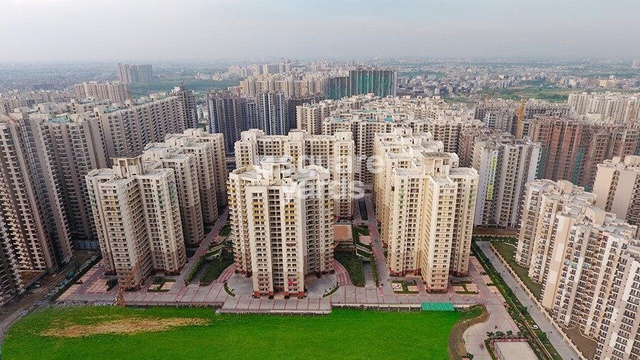 Sam Palm Olympia Tower View 3