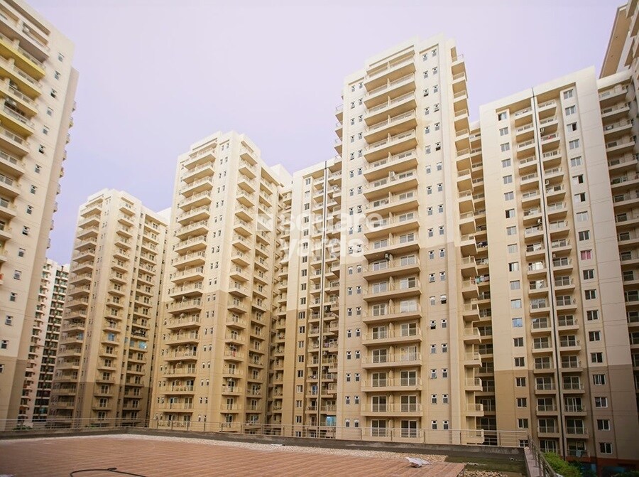 Sam Palm Olympia Tower View 4