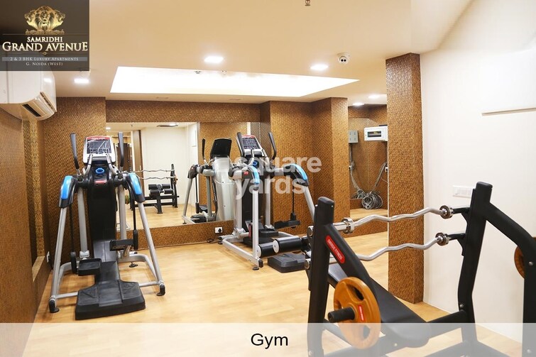 Samridhi Grand Avenue Gymnasium Image