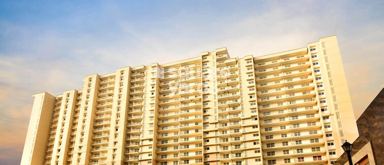 Saya Zion Tower View 3